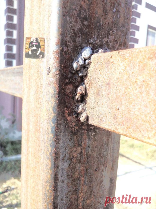 💥Когда не сварщик, но очень хочется. Случай с работы | Сварщик Саня | Яндекс Дзен