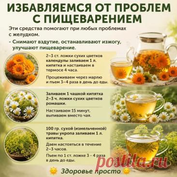 Избавляемся от проблем с пищеварение