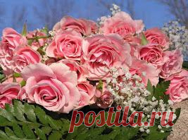 Фото в Google+