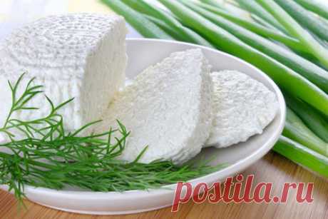 Панир - домашний сыр