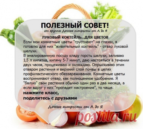 image (784×705)