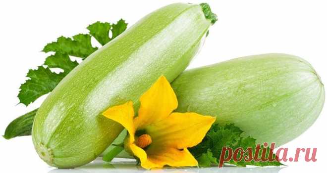 Вкусные блюда из молодых кабачков