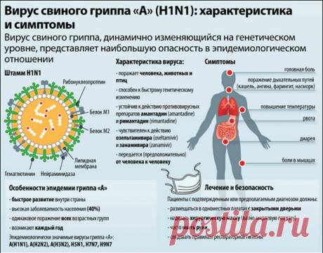 Особенности свиного гриппа и его профилактика