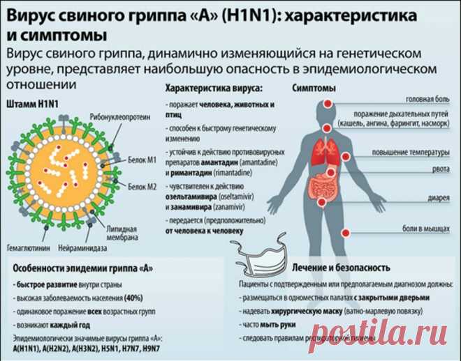 Особенности свиного гриппа и его профилактика