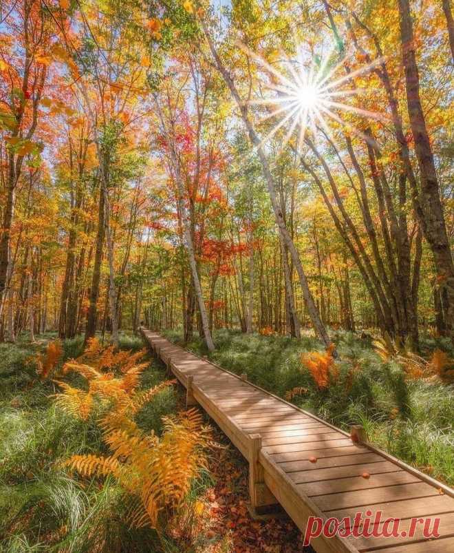 Доброе утро! ...