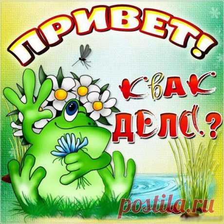 Веселые музыкальные открытки Привет как дела  Анимация квак делишки