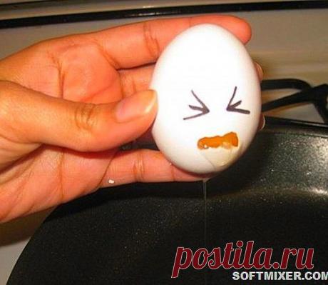 Десять способов приготовить яйца