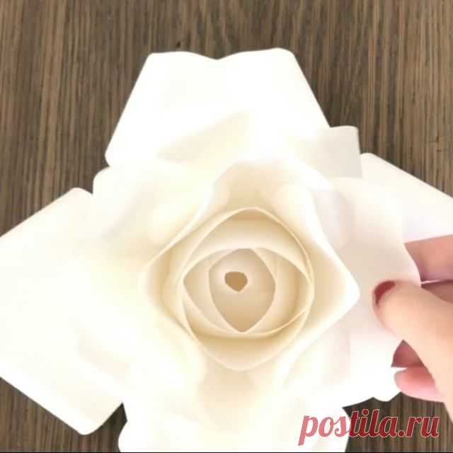The last layer of a Small and a medium rose, I like to 