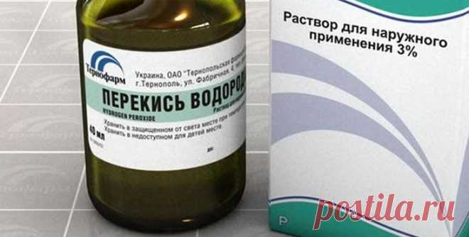 Как избавиться от грибка на стенах в квартире народными средствами