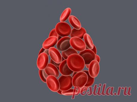 О каких патологиях расскажет биохимический анализ крови | Всегда в форме!