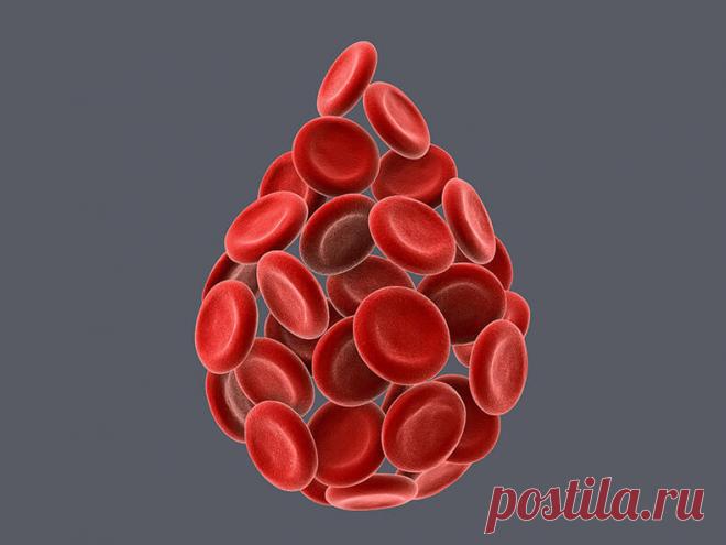 О каких патологиях расскажет биохимический анализ крови | Всегда в форме!