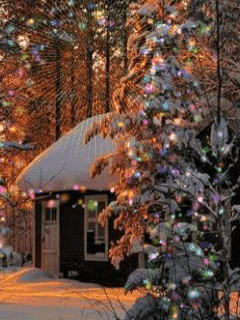 1098309.gif (240×320)