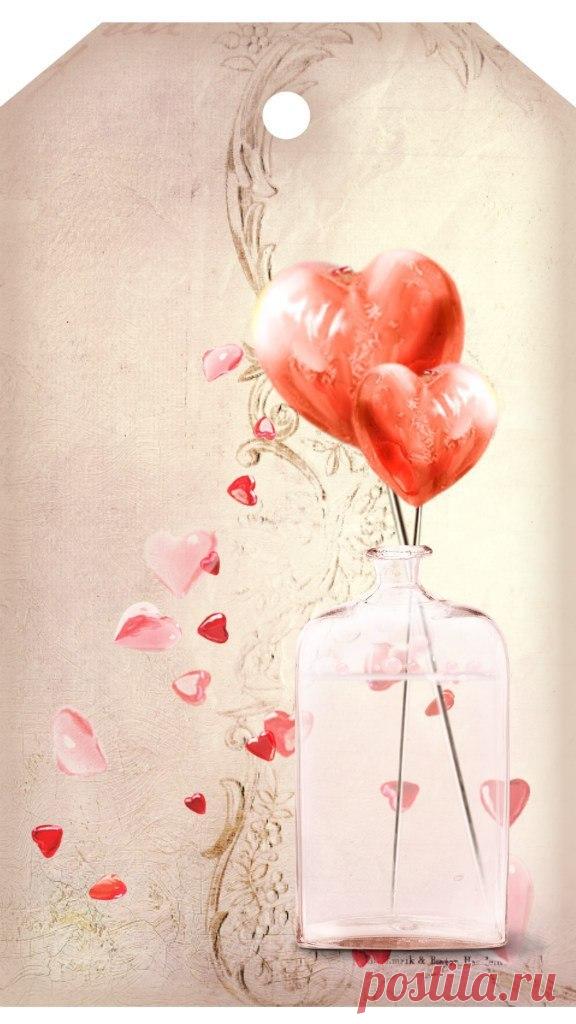 l6SYIjgFf7I.jpg (576×1024)