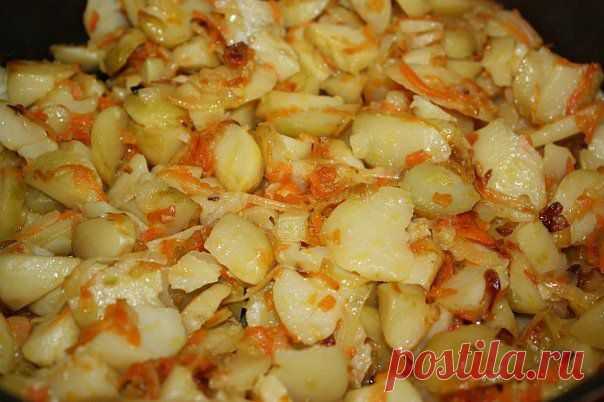 картофель золотко.
