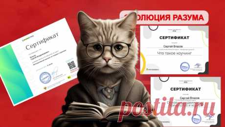 Саморазвитие: блажи момент или полезный инструмент (делюсь личным опытом) | ЭВОЛЮЦИЯ РАЗУМА | Дзен