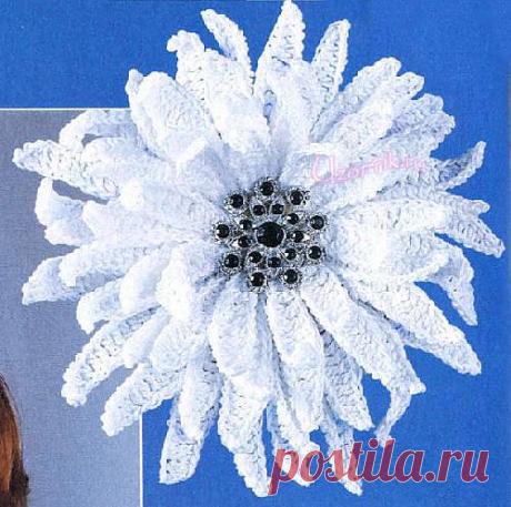 Вязаная Хризантема - Описание вязания, схемы вязания крючком и спицами | Узорчик.ру