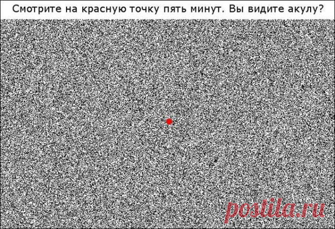 Оптические иллюзии (11 фото)