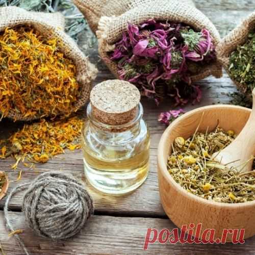 Компрессы из трав.