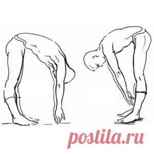 Комплекс академика Амосова спасет от гиподинамии