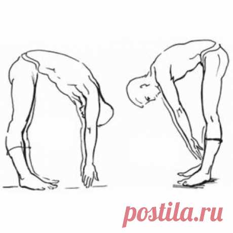 Комплекс академика Амосова спасет от гиподинамии