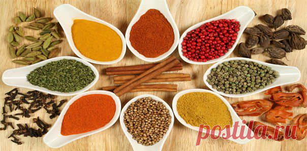 Будем здоровы! _ Хозяйке на заметку. Специи