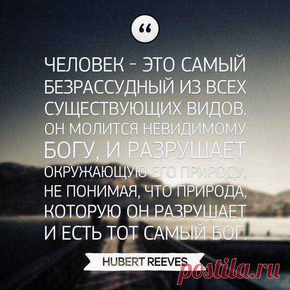 (8) Pinterest
