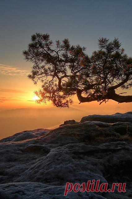 Лучшие фото – Пейзажи/Флора – Community – Google+