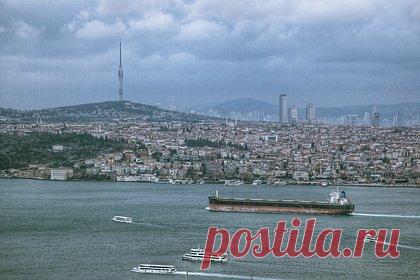 Движение судов в Черном море согласовали без участия России. Украина, Турция и ООН согласовали план движения 14 судов 31 октября в Черном море в рамках зерновой сделки. Об этом сообщили в расположенном в Стамбуле Совместном координационном центре. Было решено, что по морскому гуманитарному коридору должны пройти 12 идущих из Украины судов и два — прибывающих.