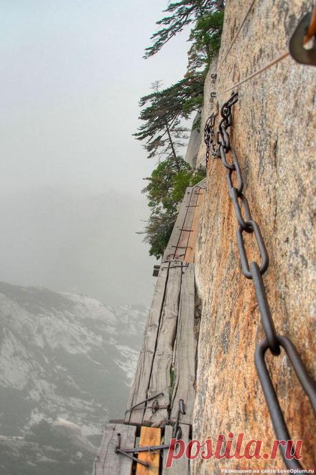 ТРОПА СМЕРТИ | Самоцветик