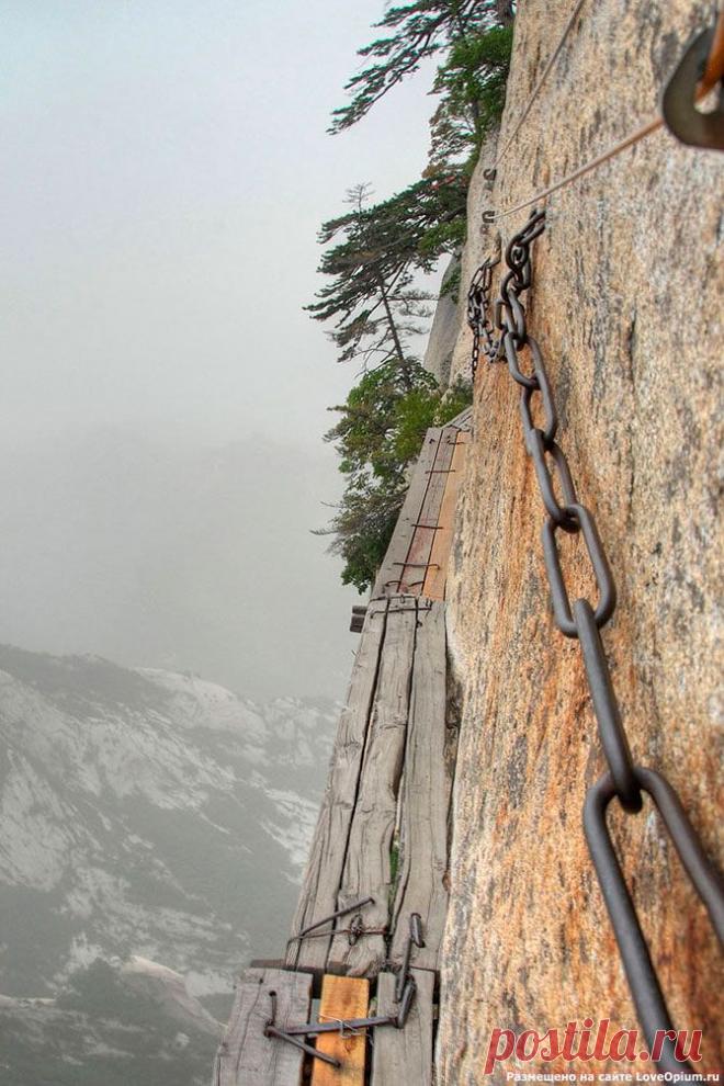 ТРОПА СМЕРТИ | Самоцветик