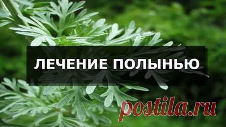 ЛЕЧЕНИЕ ПОЛЫНЬЮ 

Лечение полынью убивает всю гноеродную простейшую инфекцию в организме, излечивает бессоницу, нервные болезни и восстанавливает обмен веществ, в результате чего исчезает ожирение и лишний вес. Это сильнейшее средство дано для быстрого приведения больных в порядок. Полынная терапия снимает почти все воспалительные процессы, особенно при поражении пищеварительного тракта и половых путей. Полынь принимают при гинекологических заболеваниях, простатитах, уретр...