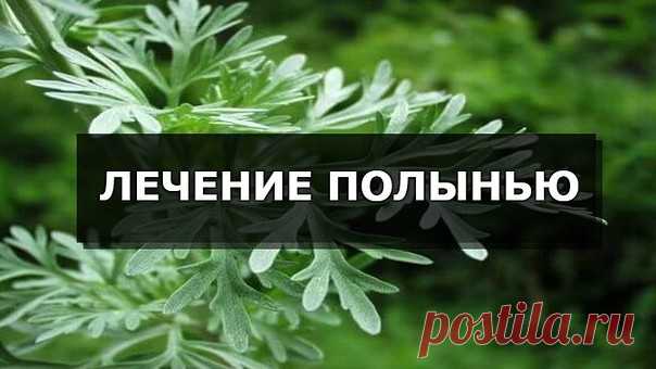 ЛЕЧЕНИЕ ПОЛЫНЬЮ 

Лечение полынью убивает всю гноеродную простейшую инфекцию в организме, излечивает бессоницу, нервные болезни и восстанавливает обмен веществ, в результате чего исчезает ожирение и лишний вес. Это сильнейшее средство дано для быстрого приведения больных в порядок. Полынная терапия снимает почти все воспалительные процессы, особенно при поражении пищеварительного тракта и половых путей. Полынь принимают при гинекологических заболеваниях, простатитах, уретр...