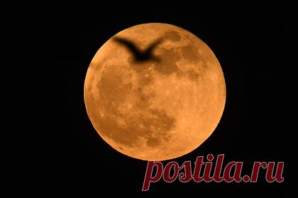 США собрались построить АЭС на Луне. NASA и Национальная лаборатория Айдахо в пятницу, 19 ноября, объявили сбор идей по строительству на Луне атомной станции, которая могла бы стать независимым от Солнца источником энергии для постоянной обитаемой станции. Построить на спутнике Земли такую АЭС американцы намерены до конца 2020 годов.