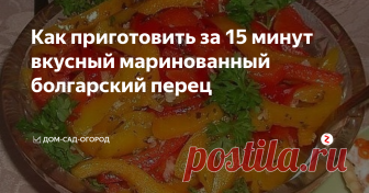 Как приготовить за 15 минут вкусный маринованный болгарский перец Быстрая и вкусная закуска, выручает, когда нет времени. В нашей семье эта закуска безумно пользуется популярностью в сочетании с картофельным пюре. Картошка не успевает свариться, а перчик уже готов. Этот перчик не закатываем в банки, готовим 