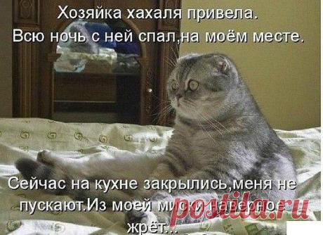 Интересные новости