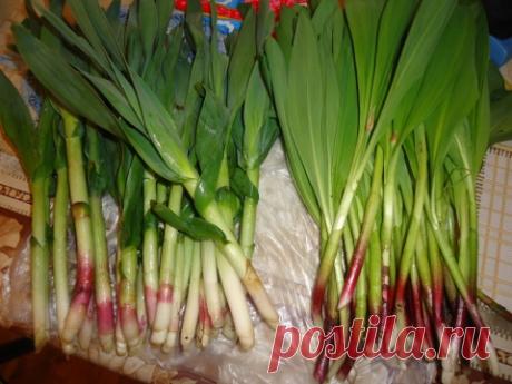 Икра из колбы ( черемши)