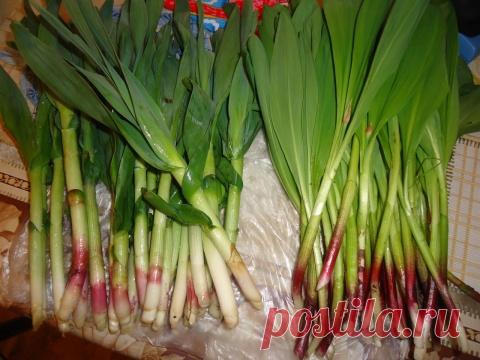 Икра из колбы ( черемши)