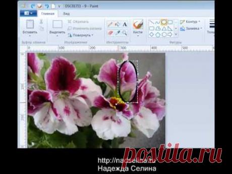 Программа Paint. Обработка изображений. - YouTube