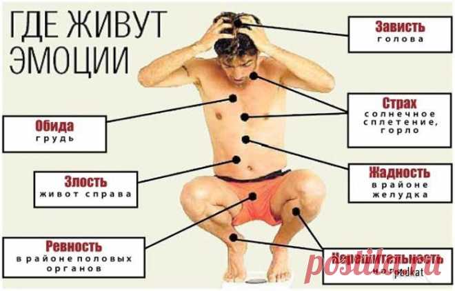 Психодуш перед сном | Магнитиза