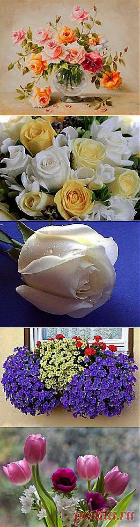 (19) Facebook