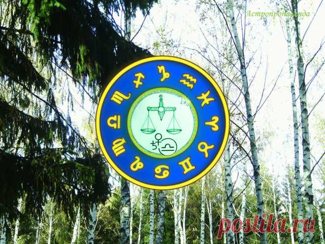 ✨♎ Гороскоп для Весов с 3 по 31 октября 2022 ✧ Автор: астролог Нина Стрелкова. 
✧ Большую часть месяца Солнце находится в вашем знаке и дает вам энергию и воодушевление. Тем более оно все время находится в соединении с Венерой, управителем вашего знака. С 11 октября 2022 в вашем знаке находится и Меркурий, Солнце и Венера, а затем и Меркурий образуют гармоничные аспекты с Сатурном и Марсом. Это дает вам возможности реализовать задуманное или исправить прежние ошибки...