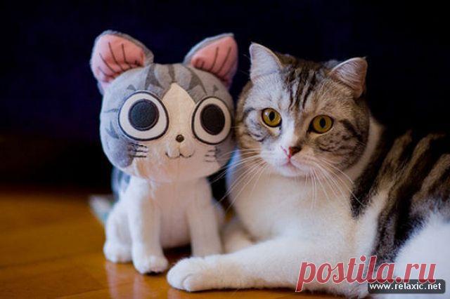 Американский фармгигант заплатит 29,4 миллиона долларов за подкуп российских чиновников