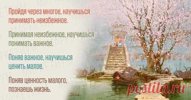 Gallery.ru / Фото #12 - Разные высказывания - masunja
