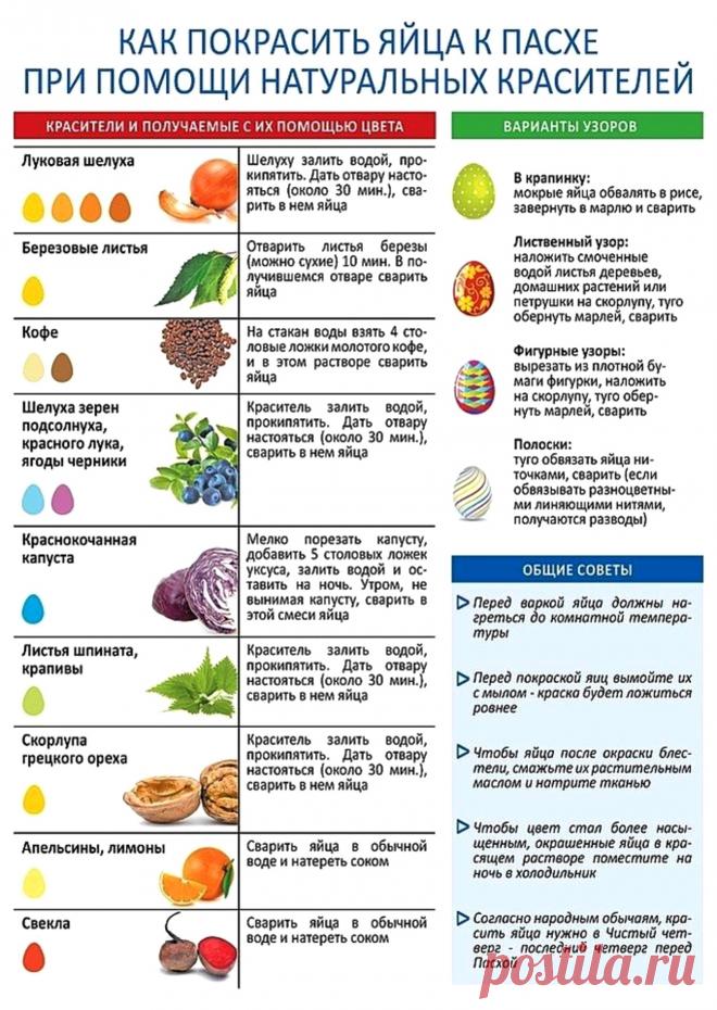 Как покрасить яйца при помощи натуральных красителей
