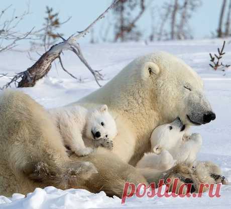 (3) Мой Мир@Mail.Ru