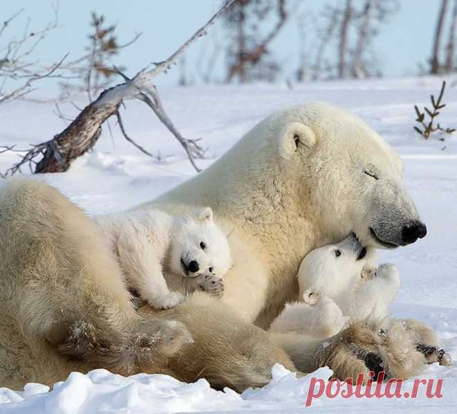 (3) Мой Мир@Mail.Ru