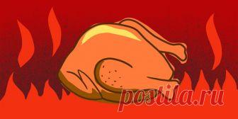 Как приготовить курицу в духовке: 15 потрясающих рецептов Рулетики с грибами и сыром, грудки с ананасами, бёдрышки с горчично-медовым соусом, целая курица на соли и другие блюда, в том числе от Джейми Оливера.