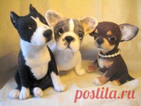 Одноклассники