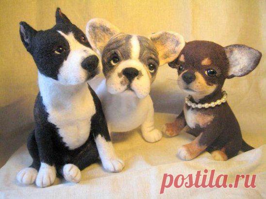 Одноклассники