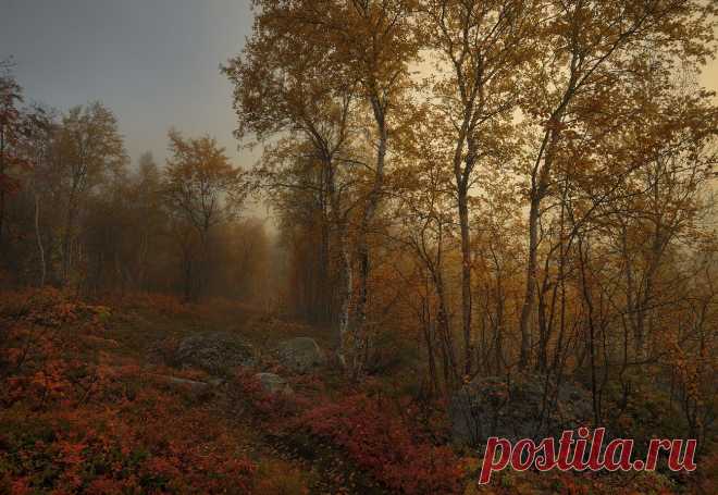 Осень - IV Vi - ЛенсАрт.ру